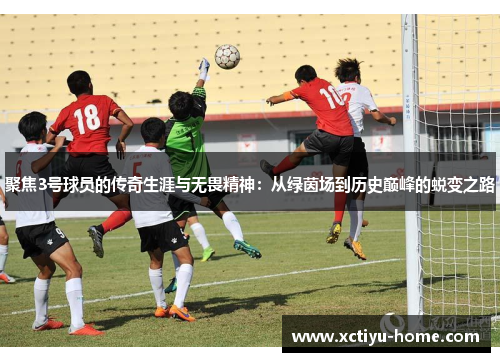 聚焦3号球员的传奇生涯与无畏精神：从绿茵场到历史巅峰的蜕变之路