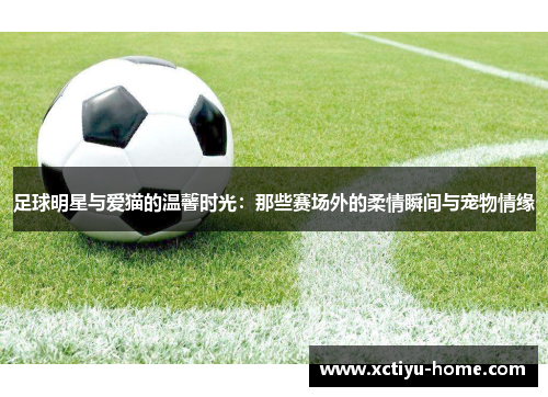 足球明星与爱猫的温馨时光：那些赛场外的柔情瞬间与宠物情缘