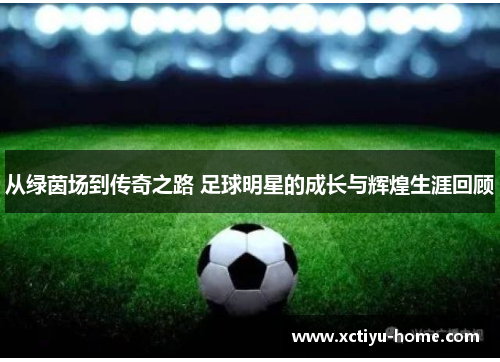 从绿茵场到传奇之路 足球明星的成长与辉煌生涯回顾